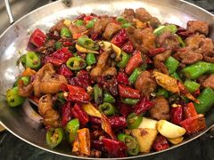 -重庆火锅水库鱼庄(南油店)