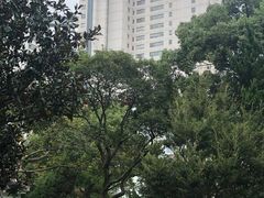 -复旦大学附属华山医院(总院)