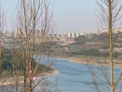 -金海湾滨江公园