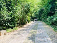 -紫金山山顶公园