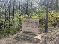 -北京鹫峰国家森林公园