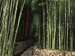 -竹泉村旅游度假区