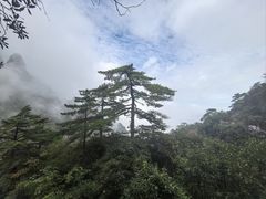 -三清山风景名胜区