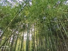-四门塔风景区