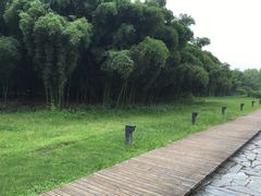 -同里国家湿地公园