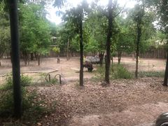 -清迈夜间动物园