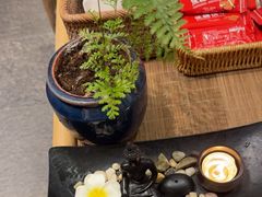 -泰菩提树下·泰式按摩SPA(沙坡尾店)