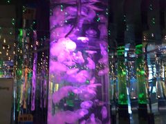 -石家庄海洋公园