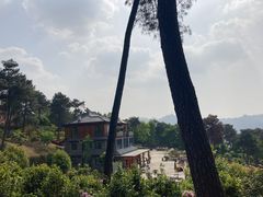 -南山植物园