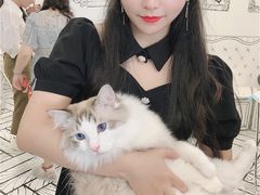 -白夜2D咖啡馆