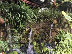 -龙山酒店温泉