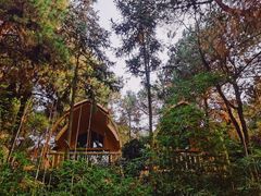 -客乐得玉峰山房车营地