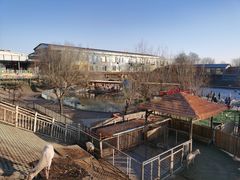 -北京鹿世界主题园