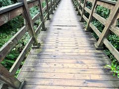 -凤栖山