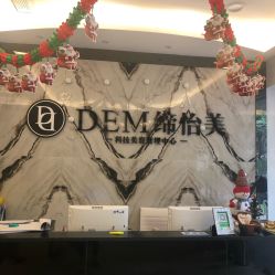-DEM缔怡美科技美容