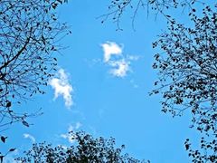 -叠溪松坪沟景区