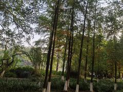 -重庆彩云湖湿地公园
