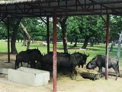 -西安秦岭野生动物园