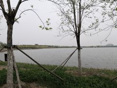 -天津东丽湖风景区
