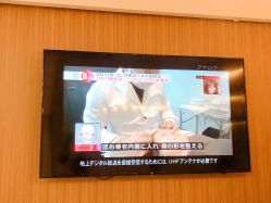 -颜和骨正·明哲式骨相美学整骨