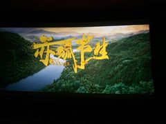 -大光明电影院(南京西路店)