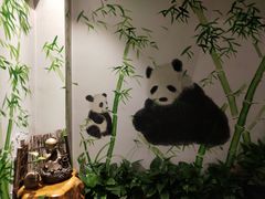 -疯狂的筷子老灶九宫格火锅