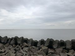 -南汇嘴观海公园