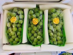 -双福水果批发市场