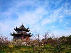 -上海海湾国家森林公园