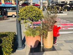 -比斯特上海购物村精品奥特莱斯