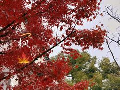-朵云书院·广富林店