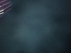 -萧邦音乐会所KTV·蒸汽活海鲜自助(福田店)