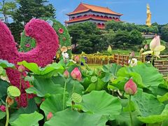 -广州莲花山旅游区