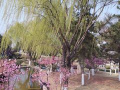 -鹦鹉寺公园