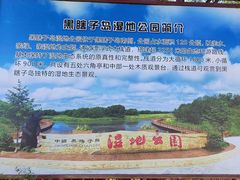 -黑瞎子岛探秘野熊园