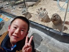 -zoonana室内动物园(东方福来德店)