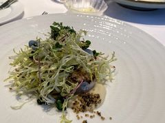 香煎北海道扇贝-蝶舍·MAISON PAPILLON