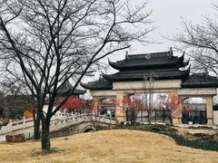 -苏州上方山国家森林公园