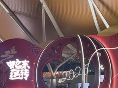 -上海浦东国际机场-T2航站楼