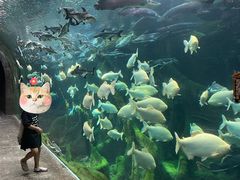 -哈尔滨波塞冬海底世界
