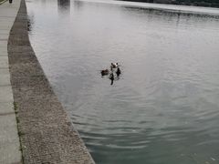 -玄武湖景区-情侣园游乐场