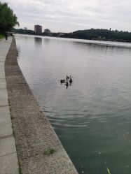 -玄武湖景区-情侣园游乐场