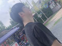 -金山农民画村-枫泾波兰倒置屋