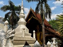 -西双版纳傣族园