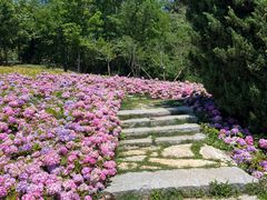 -棒棰岛宾馆景区