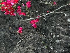 -海口火山口国家地质公园