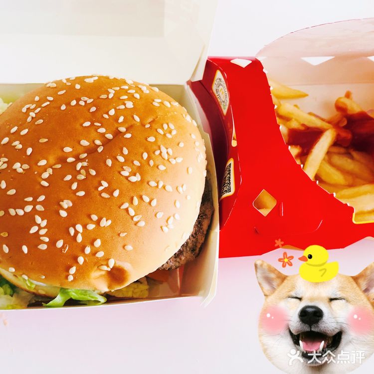 birthday开心下哈