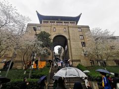 -武汉大学-樱园
