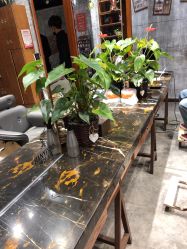 -T.1 hair salon烫染接发