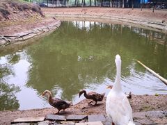 -东郊湿地公园